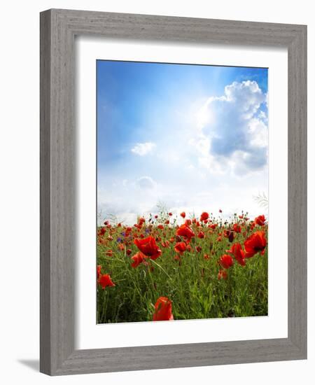 Red Poppies on Green Field, Sky and  Clouds-Volokhatiuk-Framed Photographic Print