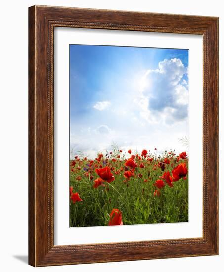 Red Poppies on Green Field, Sky and  Clouds-Volokhatiuk-Framed Photographic Print