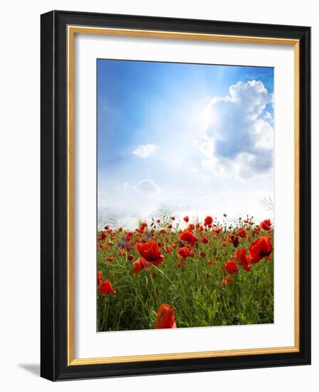 Red Poppies on Green Field, Sky and  Clouds-Volokhatiuk-Framed Photographic Print