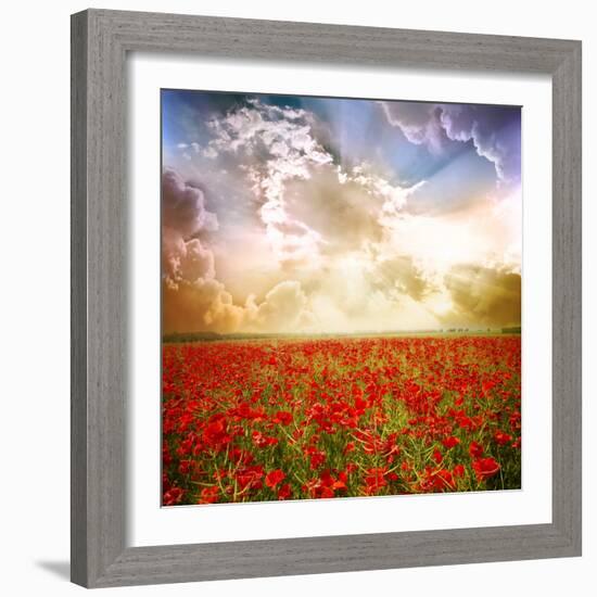 Red Poppies on Green Field, Sky and Clouds-Volokhatiuk-Framed Photographic Print