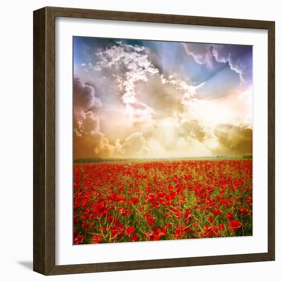 Red Poppies on Green Field, Sky and Clouds-Volokhatiuk-Framed Photographic Print