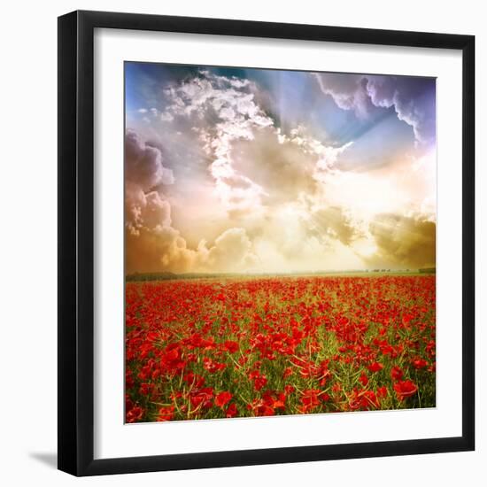 Red Poppies on Green Field, Sky and Clouds-Volokhatiuk-Framed Photographic Print