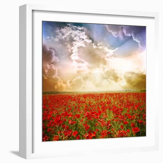 Red Poppies on Green Field, Sky and Clouds-Volokhatiuk-Framed Photographic Print