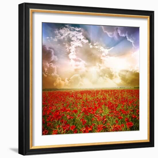 Red Poppies on Green Field, Sky and Clouds-Volokhatiuk-Framed Photographic Print