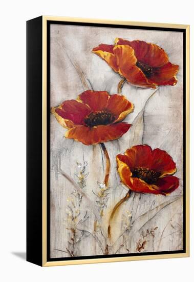 Red Poppies on Taupe II-Tim O'toole-Framed Stretched Canvas