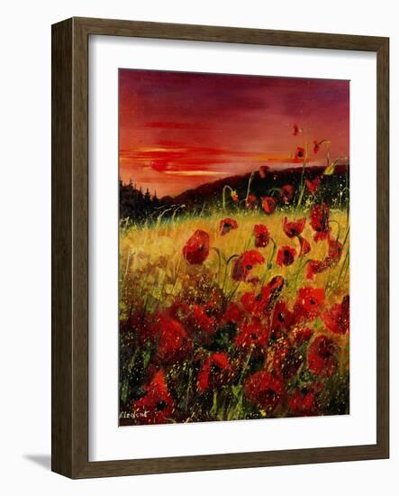 Red Poppies Sunset-Pol Ledent-Framed Art Print