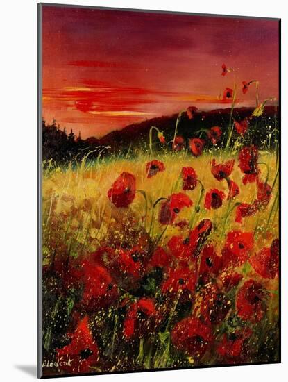 Red Poppies Sunset-Pol Ledent-Mounted Art Print