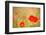 Red Poppies with Out of Focus Poppy Field-ZoomTeam-Framed Photographic Print