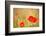 Red Poppies with Out of Focus Poppy Field-ZoomTeam-Framed Photographic Print