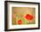 Red Poppies with Out of Focus Poppy Field-ZoomTeam-Framed Photographic Print