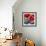 Red Poppies-Gerry Baptist-Framed Giclee Print displayed on a wall