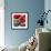 Red Poppies-Gerry Baptist-Framed Giclee Print displayed on a wall