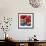Red Poppies-Gerry Baptist-Framed Giclee Print displayed on a wall