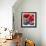 Red Poppies-Gerry Baptist-Framed Giclee Print displayed on a wall