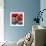 Red Poppies-Gerry Baptist-Framed Giclee Print displayed on a wall