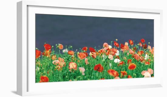 Red Poppies-null-Framed Photographic Print