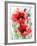 Red Poppies-Karin Johannesson-Framed Premium Giclee Print