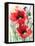 Red Poppies-Karin Johannesson-Framed Stretched Canvas