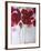 Red Poppies-Cherie Roe Dirksen-Framed Giclee Print