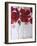 Red Poppies-Cherie Roe Dirksen-Framed Giclee Print