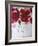 Red Poppies-Cherie Roe Dirksen-Framed Giclee Print