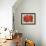 Red Poppies-Marietta Cohen Art and Design-Framed Giclee Print displayed on a wall