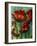 Red Poppies-Cherie Roe Dirksen-Framed Giclee Print