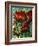 Red Poppies-Cherie Roe Dirksen-Framed Giclee Print