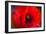 Red Poppy and Bud - Field Flower - Macro-Daniil Belyay-Framed Photographic Print