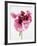 Red poppy blossom-Josh Westrich-Framed Photographic Print