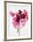 Red poppy blossom-Josh Westrich-Framed Photographic Print