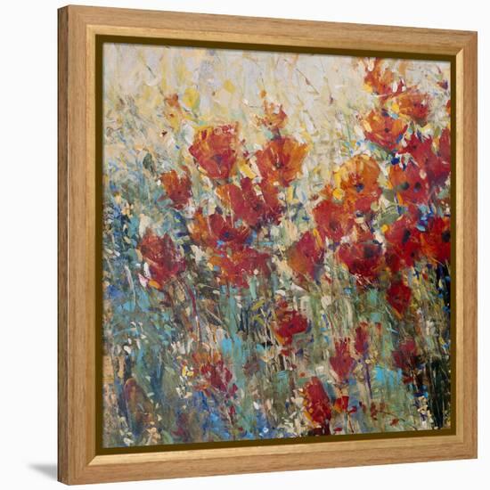Red Poppy Field I-Tim O'toole-Framed Stretched Canvas