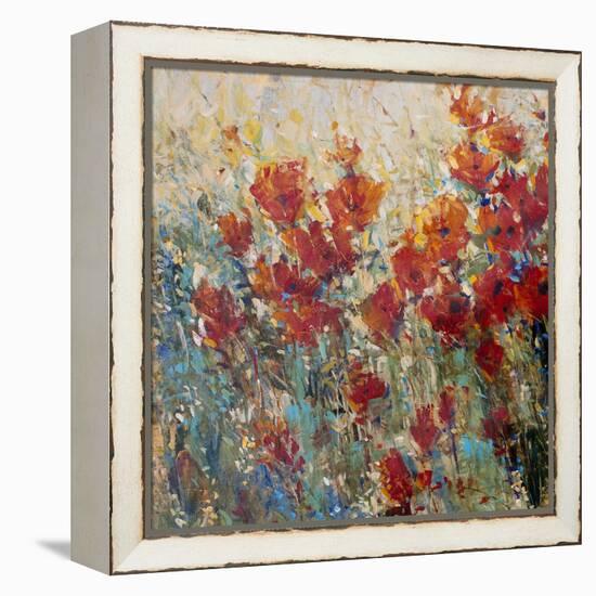 Red Poppy Field I-Tim O'toole-Framed Stretched Canvas