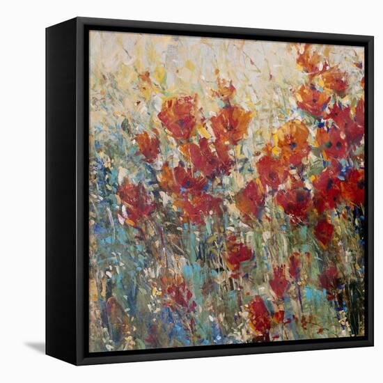 Red Poppy Field I-Tim O'toole-Framed Stretched Canvas