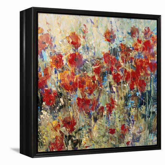 Red Poppy Field II-Tim O'toole-Framed Stretched Canvas