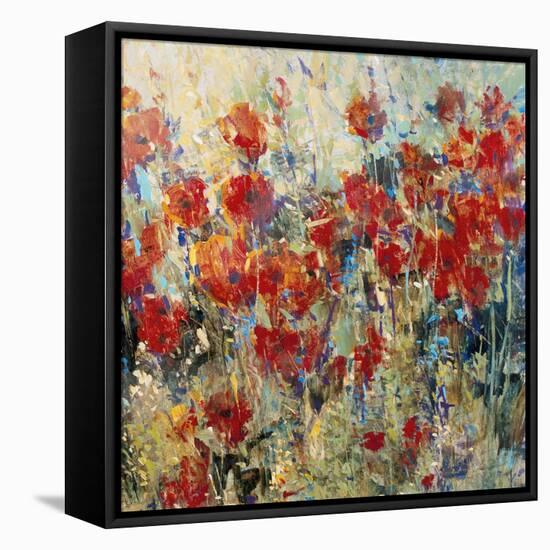 Red Poppy Field II-Tim O'toole-Framed Stretched Canvas