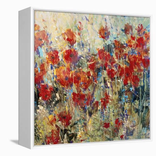 Red Poppy Field II-Tim O'toole-Framed Stretched Canvas