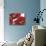 Red Poppy Forrest II-Natasha Barnes-Mounted Art Print displayed on a wall