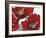 Red Poppy Forrest II-Natasha Barnes-Framed Giclee Print