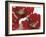 Red Poppy Forrest II-Natasha Barnes-Framed Giclee Print