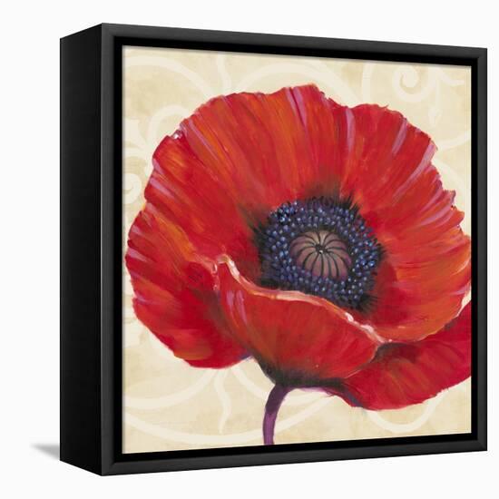 Red Poppy I-Tim OToole-Framed Stretched Canvas