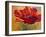 Red Poppy II-Marion Rose-Framed Giclee Print