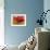 Red Poppy II-Marion Rose-Framed Giclee Print displayed on a wall