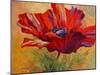 Red Poppy II-Marion Rose-Mounted Giclee Print