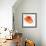 Red Poppy On White 01-Tom Quartermaine-Framed Giclee Print displayed on a wall