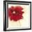 Red Poppy Power II-Marilyn Robertson-Framed Art Print