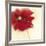 Red Poppy Power II-Marilyn Robertson-Framed Art Print