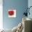 Red Poppy Power II-Marilyn Robertson-Mounted Giclee Print displayed on a wall