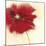 Red Poppy Power II-Marilyn Robertson-Mounted Giclee Print