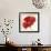 Red Poppy Power IV-Marilyn Robertson-Framed Art Print displayed on a wall